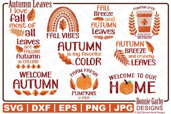Autumn Leaves SVG Bundle - Color Clip Art